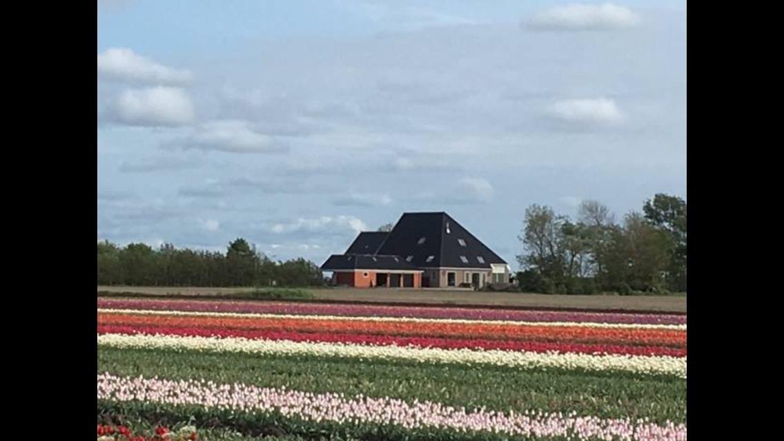 Boerderij De Waard Bed and Breakfast Anna Paulowna Eksteriør billede